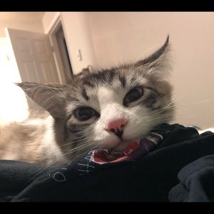 Meet your Posher, Bryan